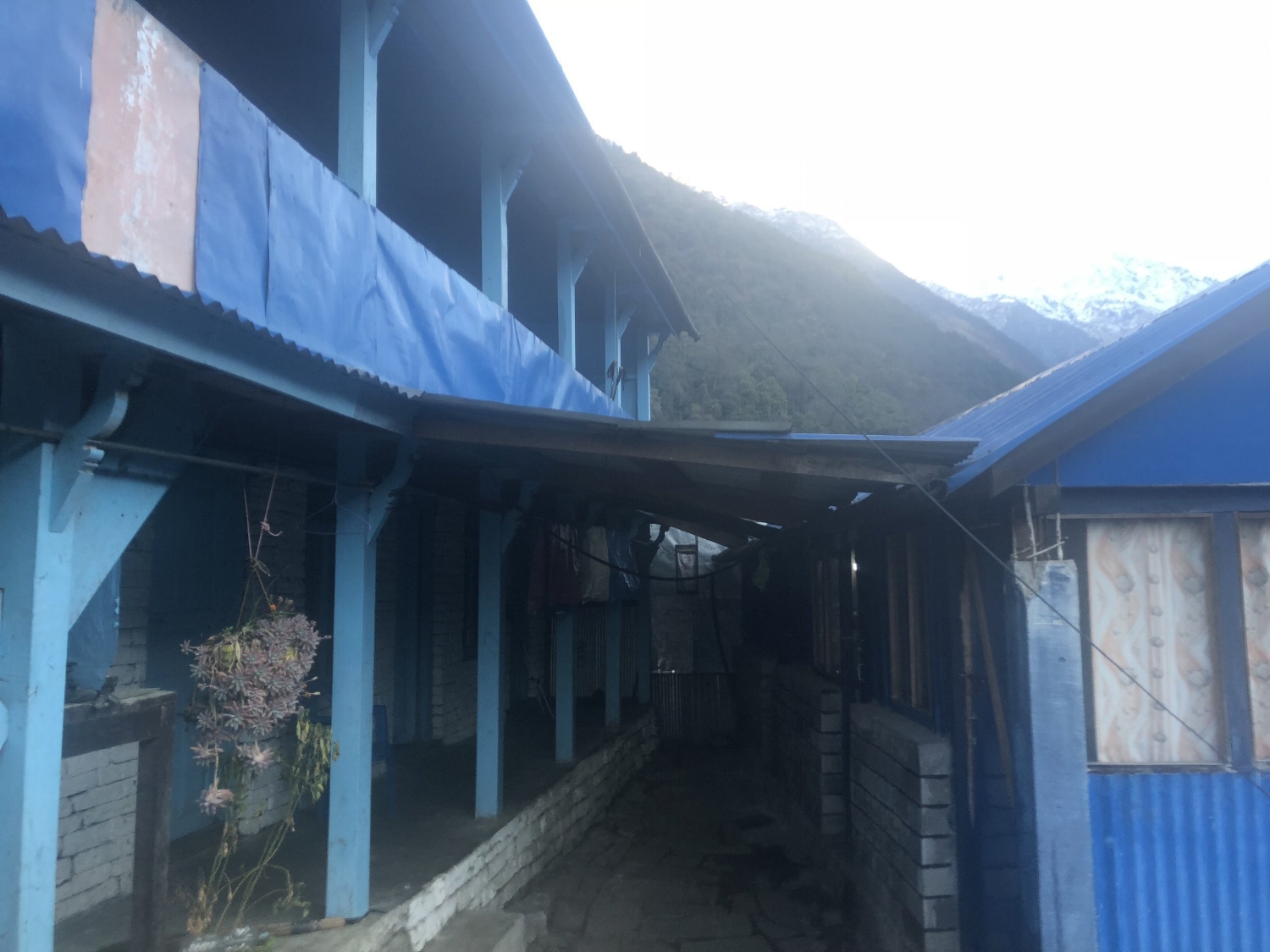 Teahouse Annapurna