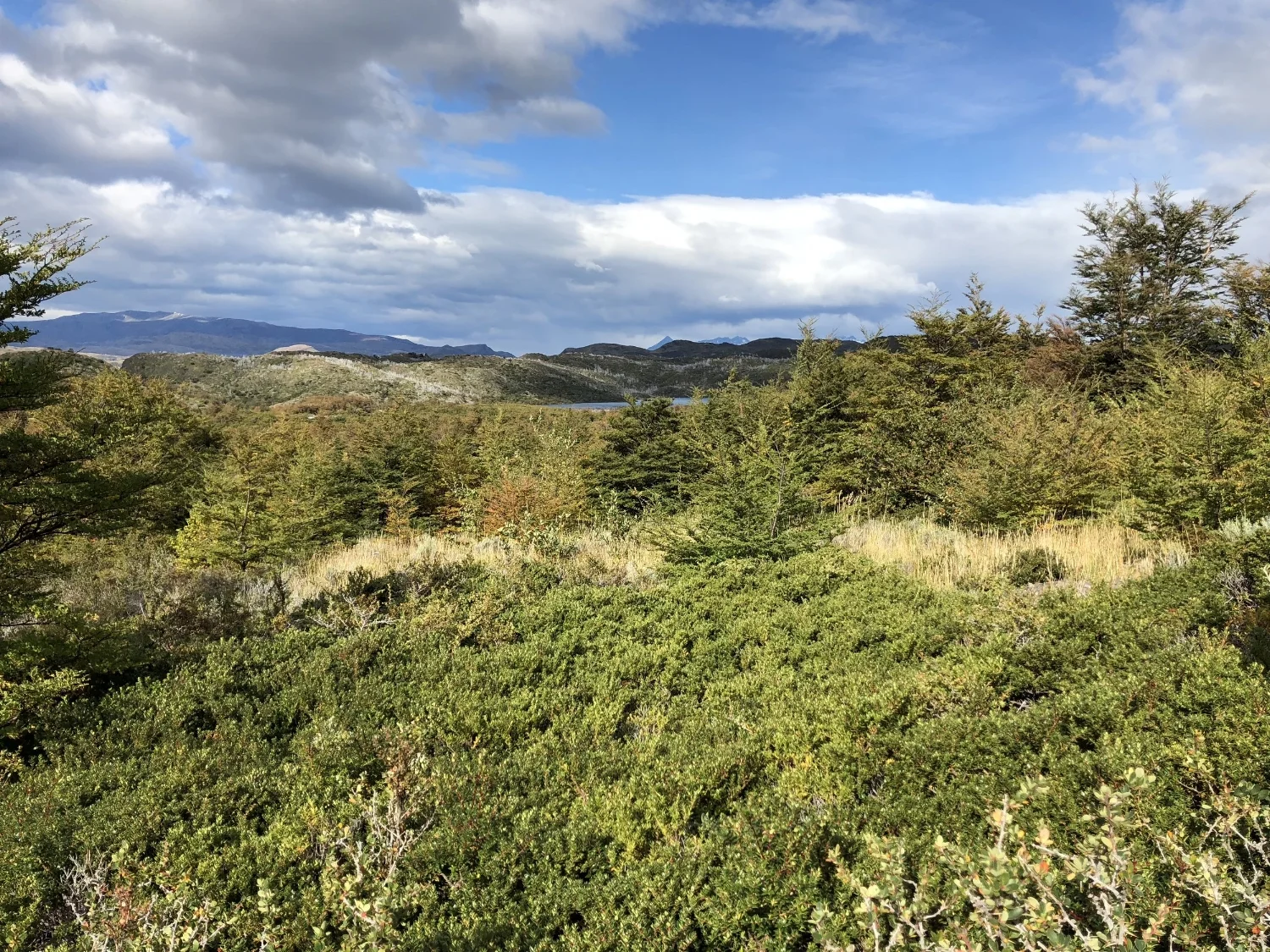 Patagonia W Trek - French Valley