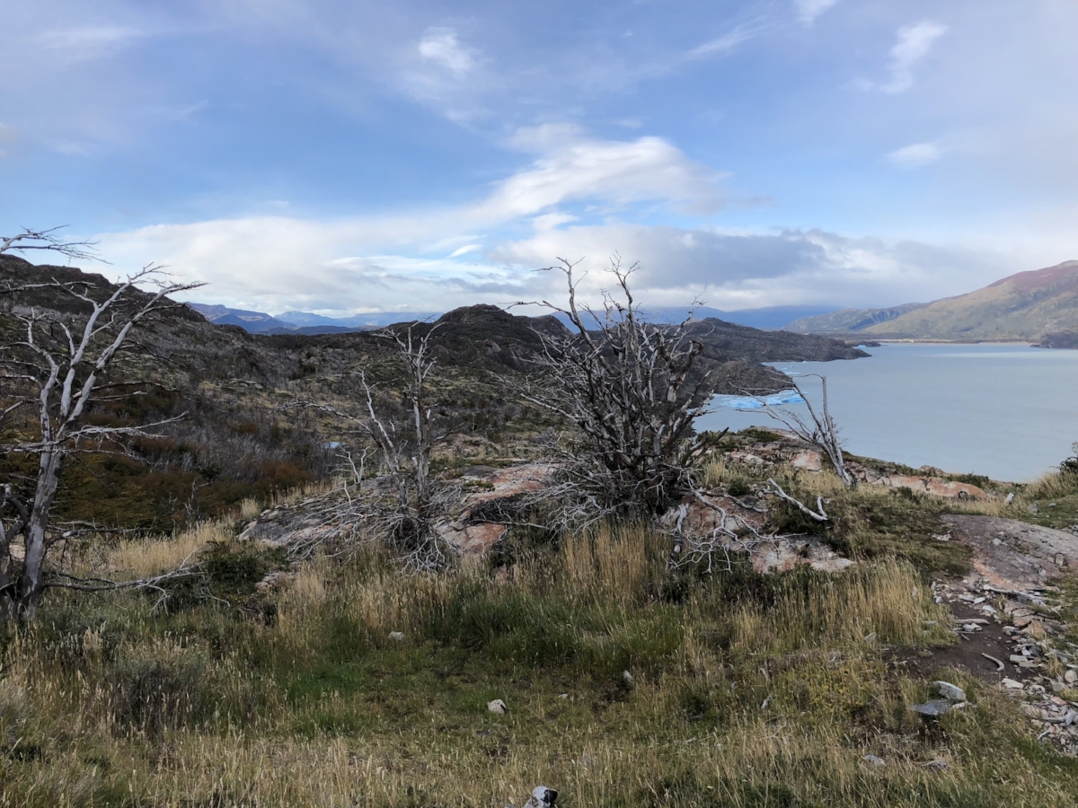 Torres del Paine