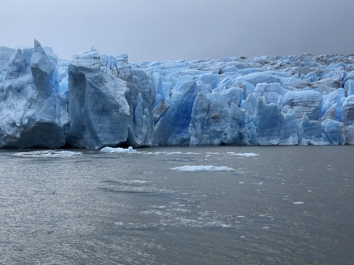 Grey Glacier