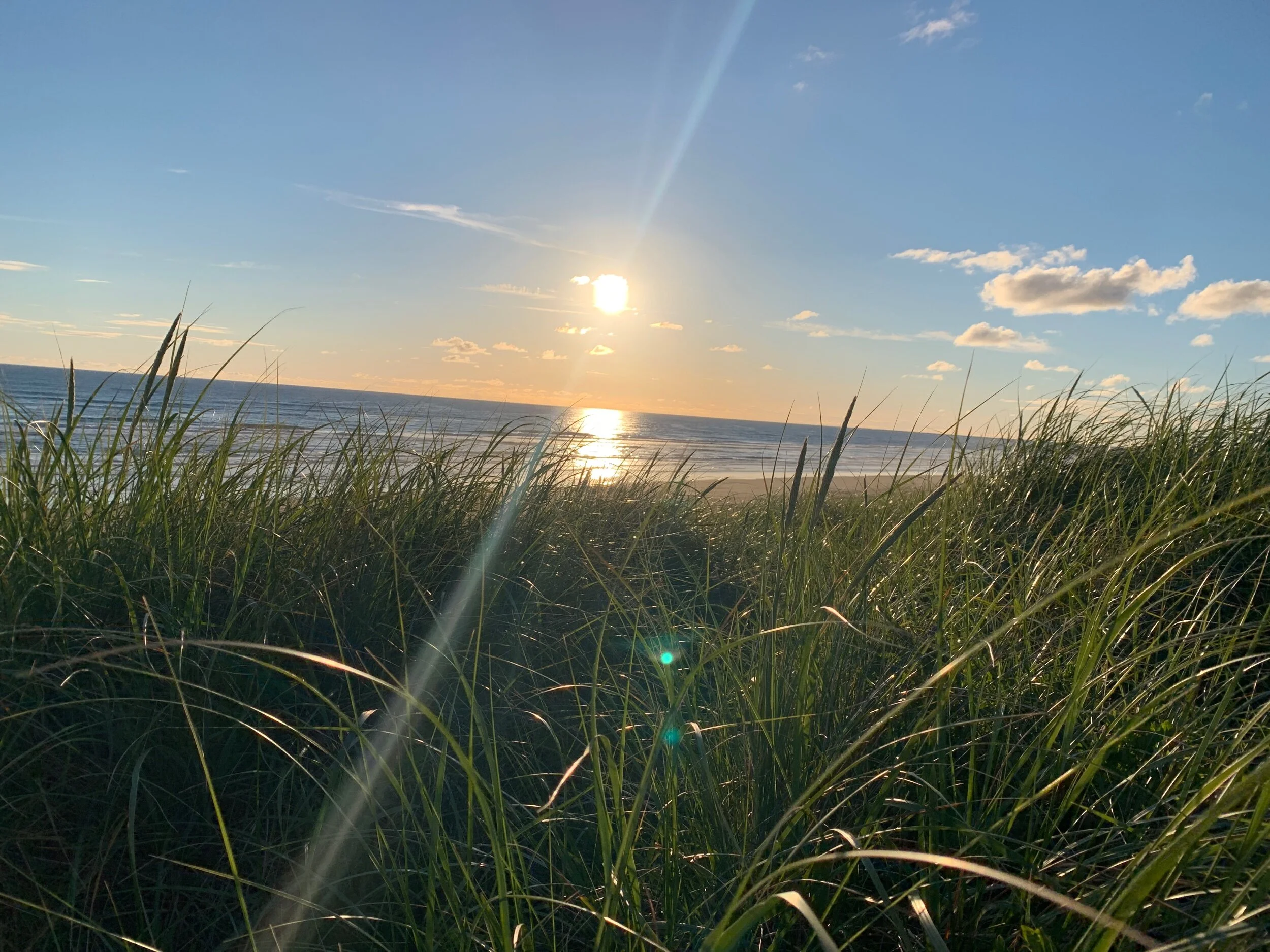 IMG_6186.jpeg