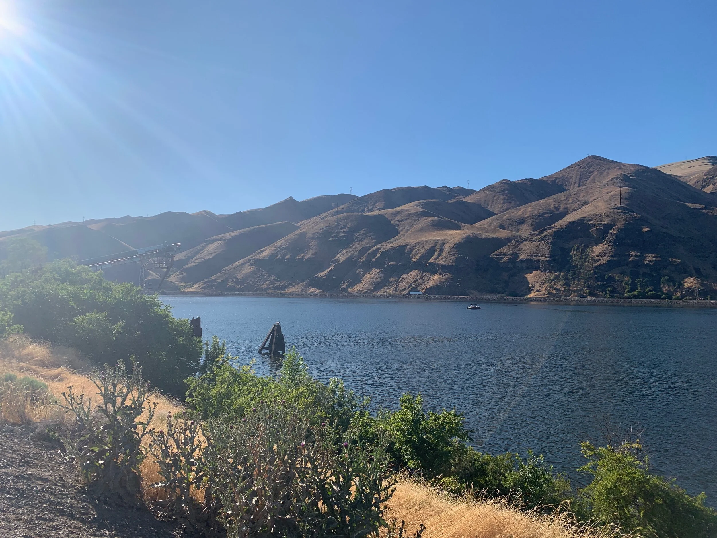 IMG_6541.jpeg