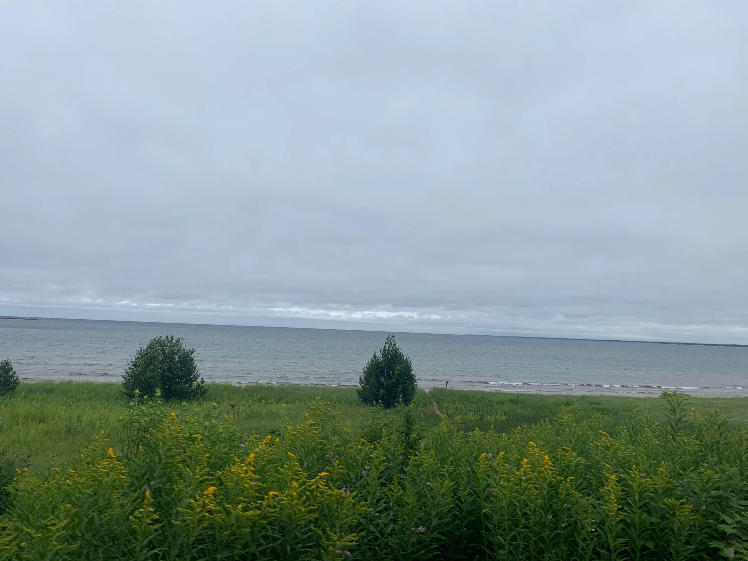 IMG_7646.jpeg