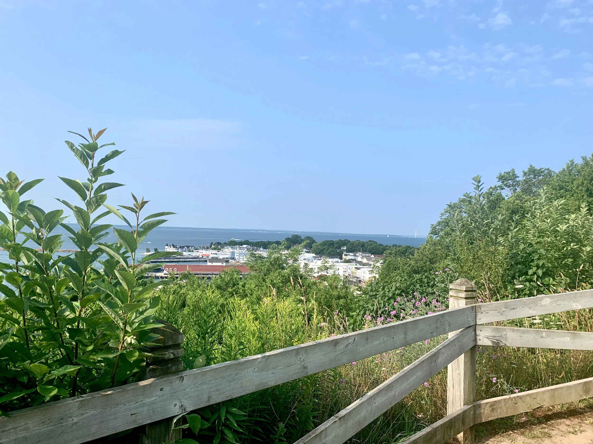 IMG_7720.jpeg