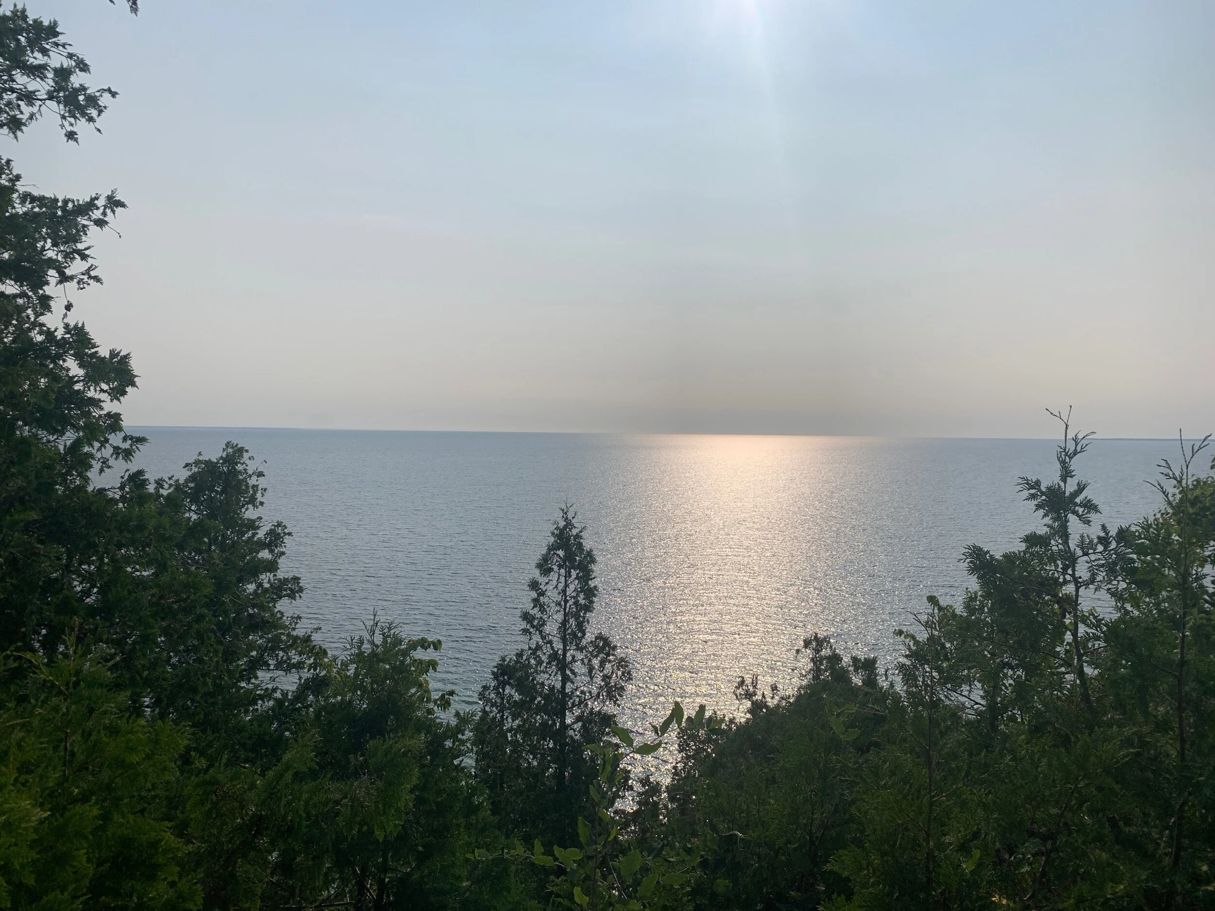 IMG_7718.jpeg