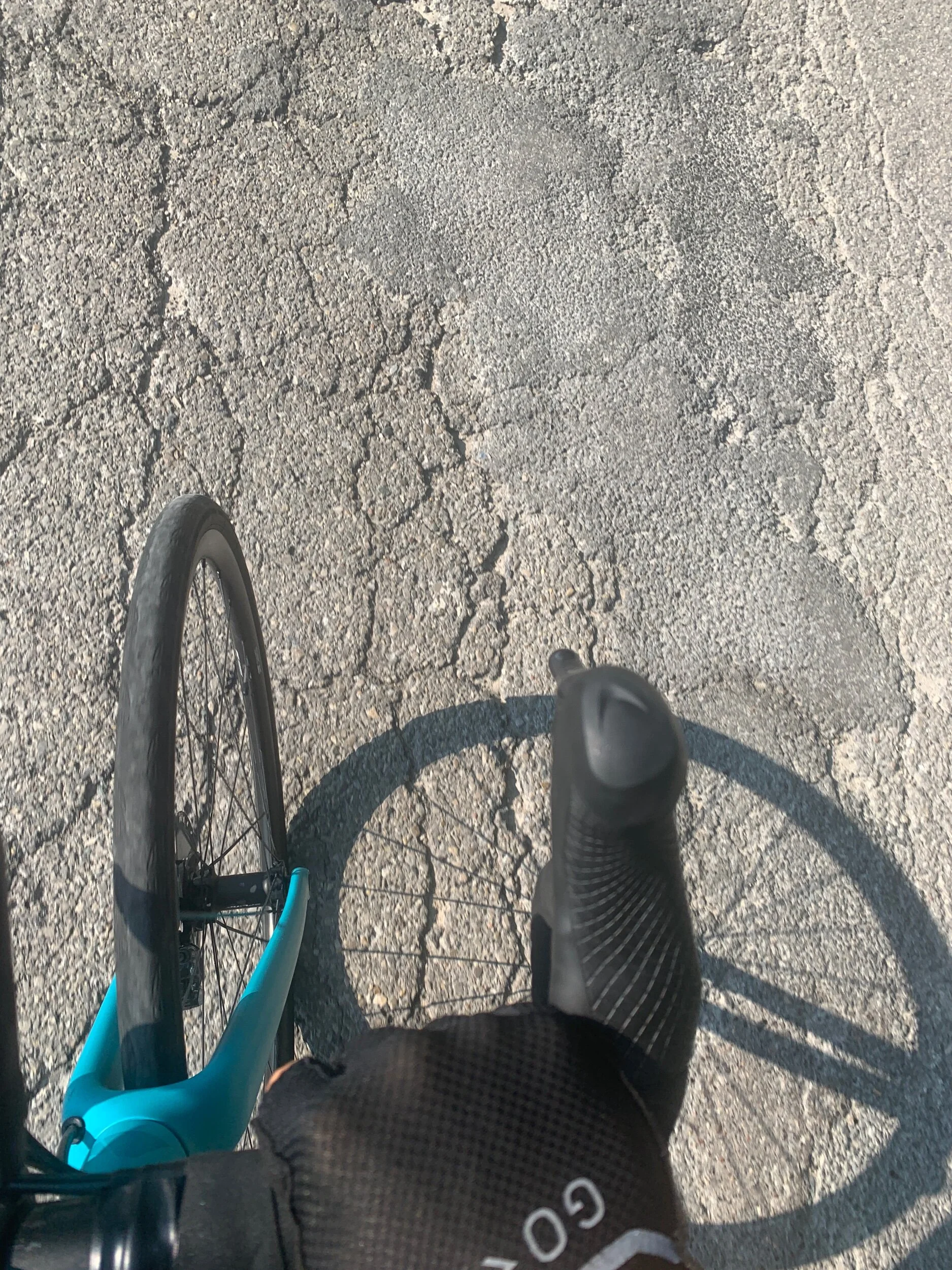 IMG_7797.jpeg