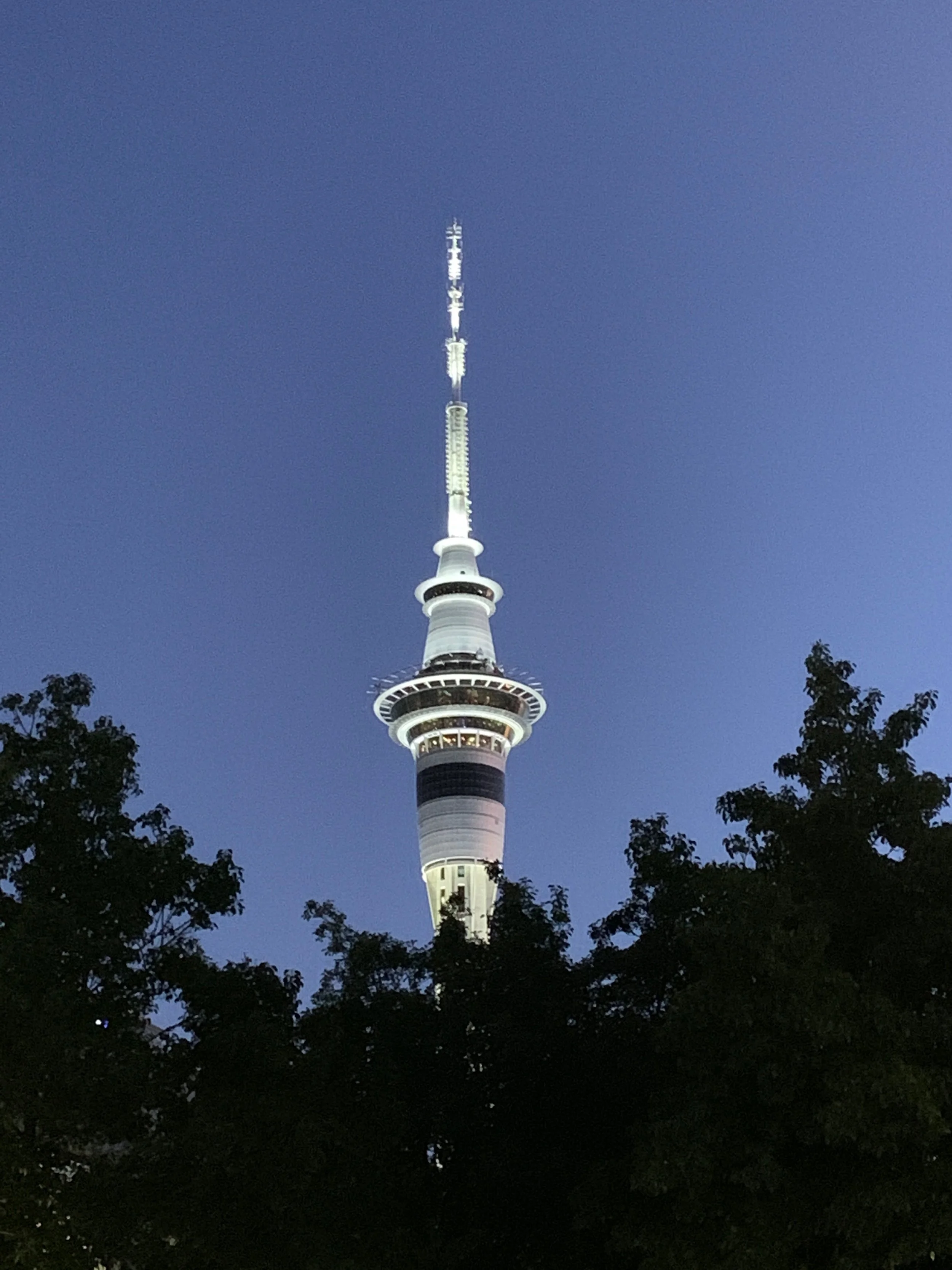 IMG_1926.jpeg