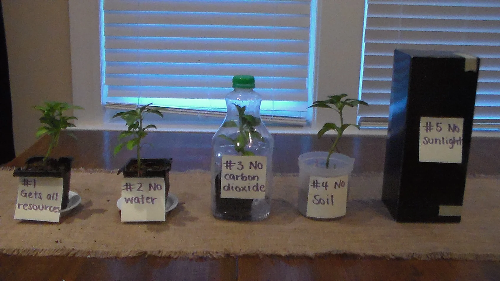 NGSS 5-LS1-1 Video Tutorial 