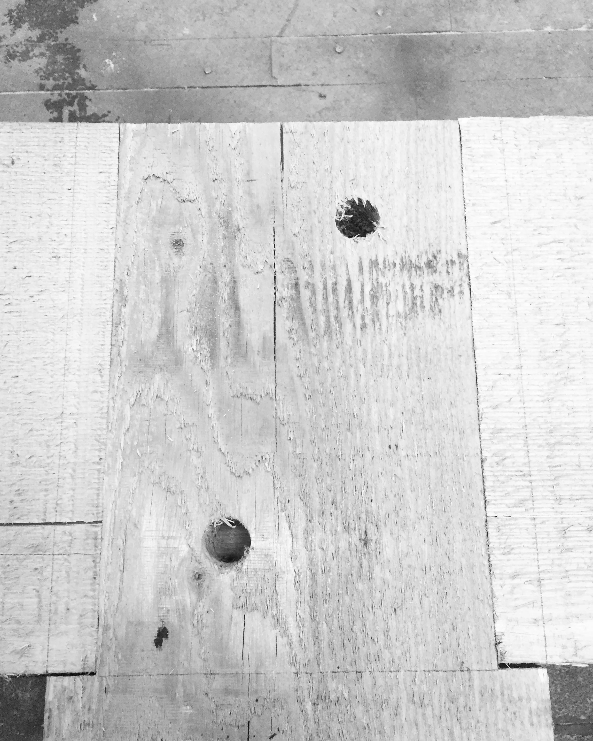 Brennan Timber Frame Day 2