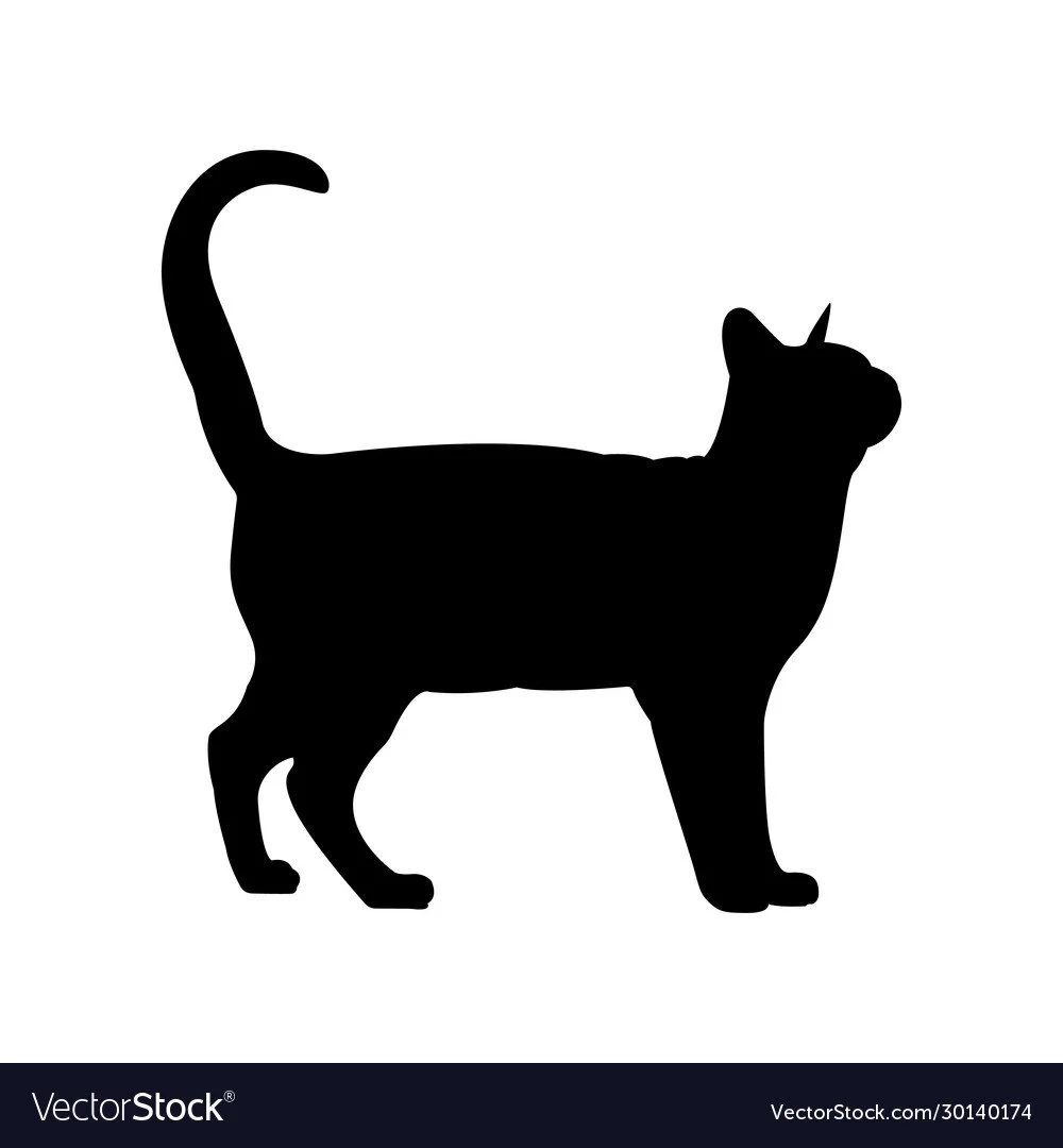 converse humane society