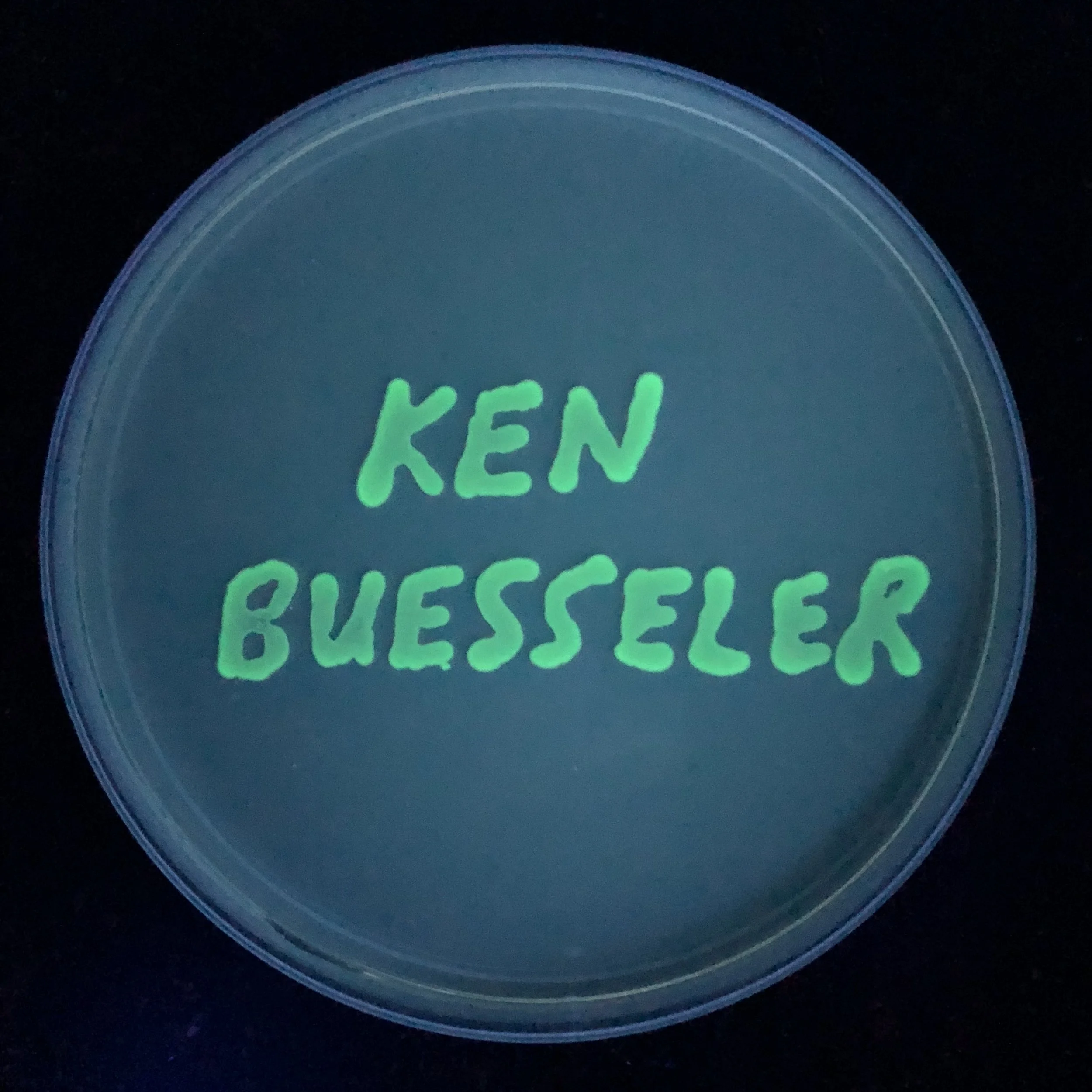 Buesseler.jpg