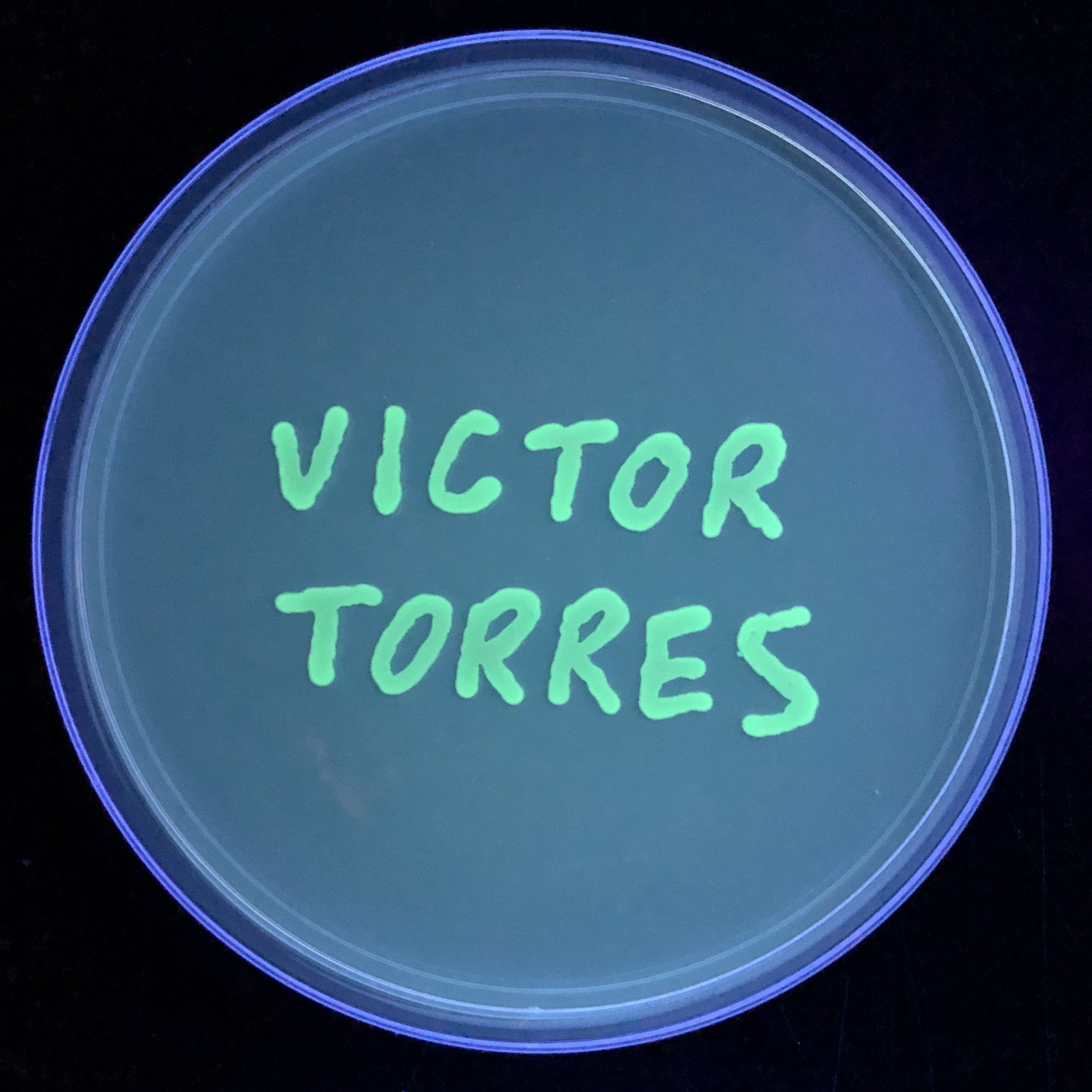 torres.jpg