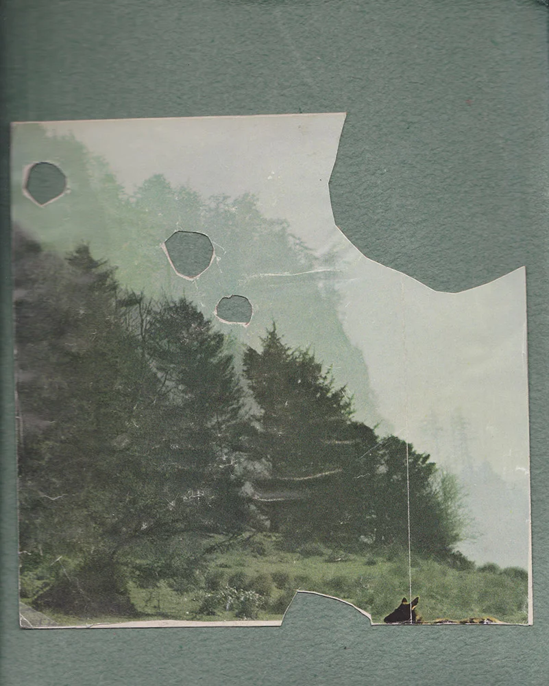 FrontCover_HGelderman.jpg