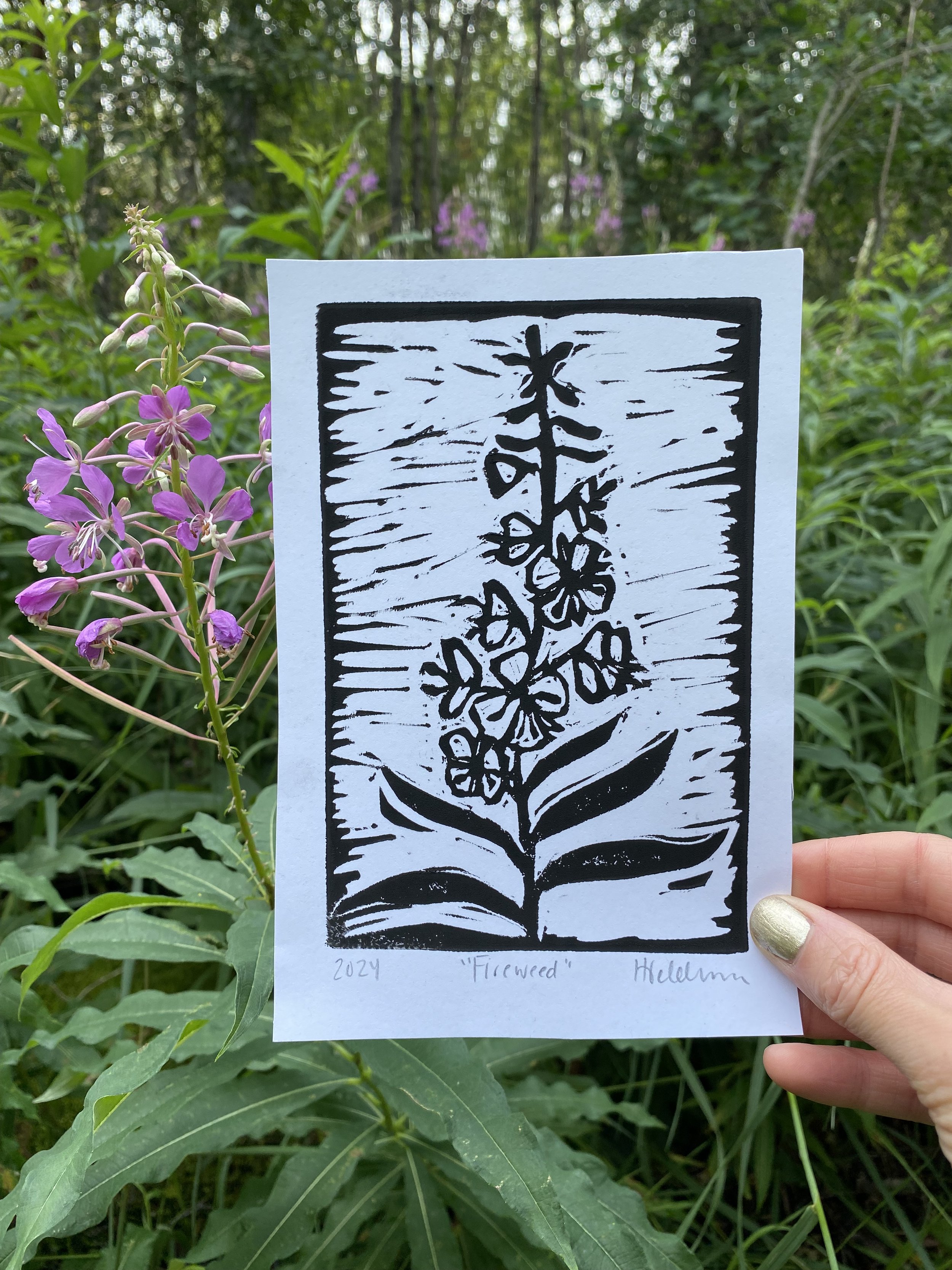 Fireweed