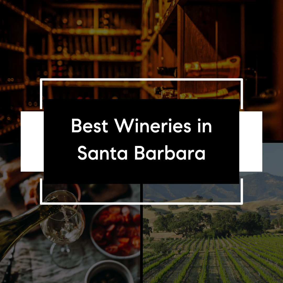 Exploring the Best Wineries in Santa Barbara, CA