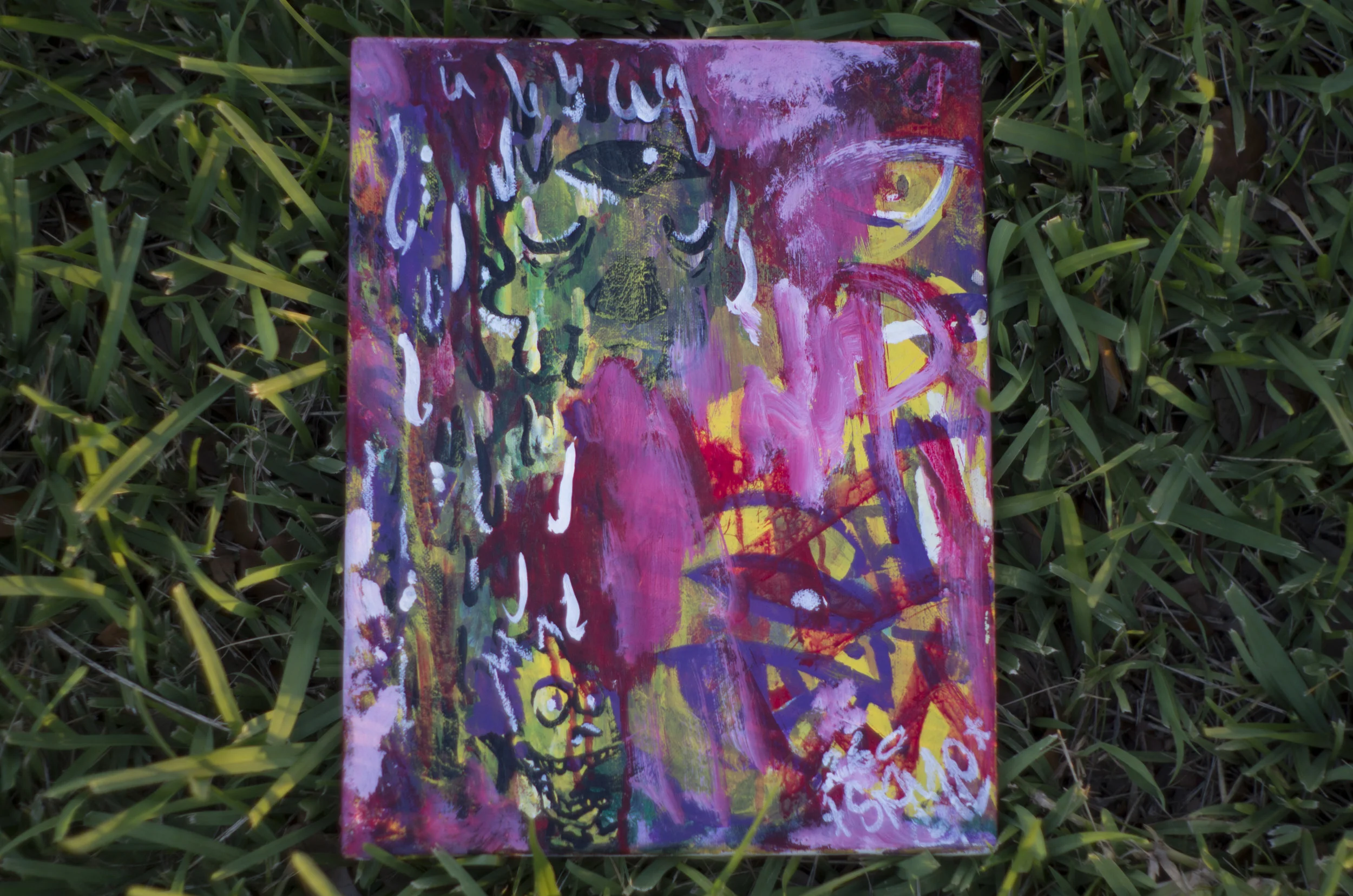 IMGP1104.jpg