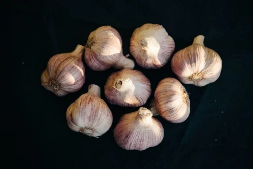Garlic, a wonderful prebiotic food.