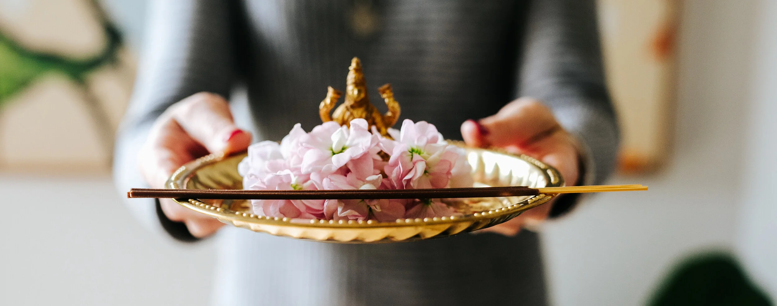 Narayani2019-161 (1).jpg