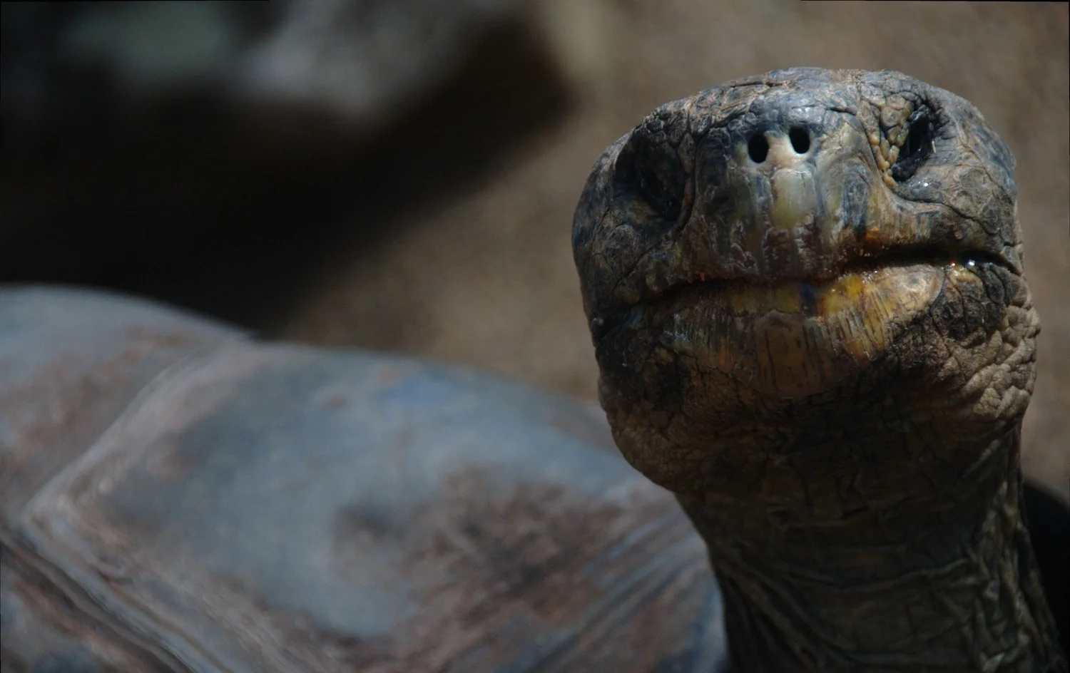 leggo my eggo...I mean ego