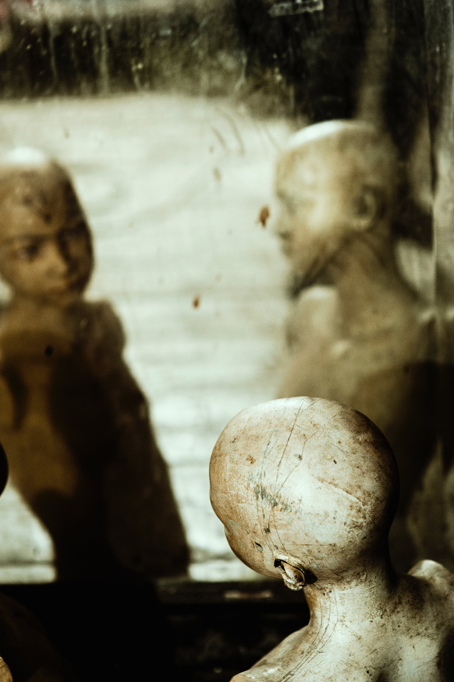 evolution of the mind