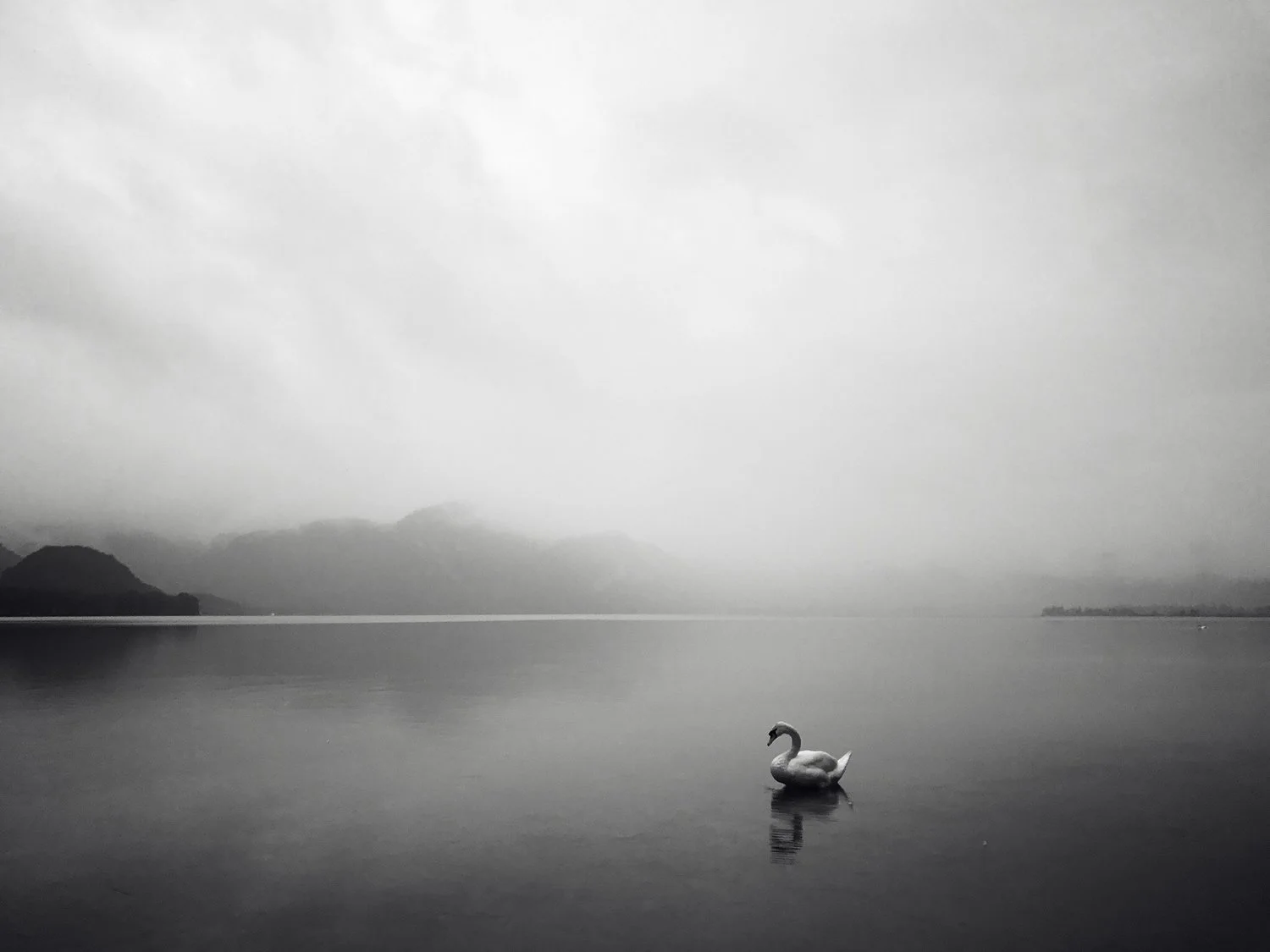 The Stillness beyond the noise