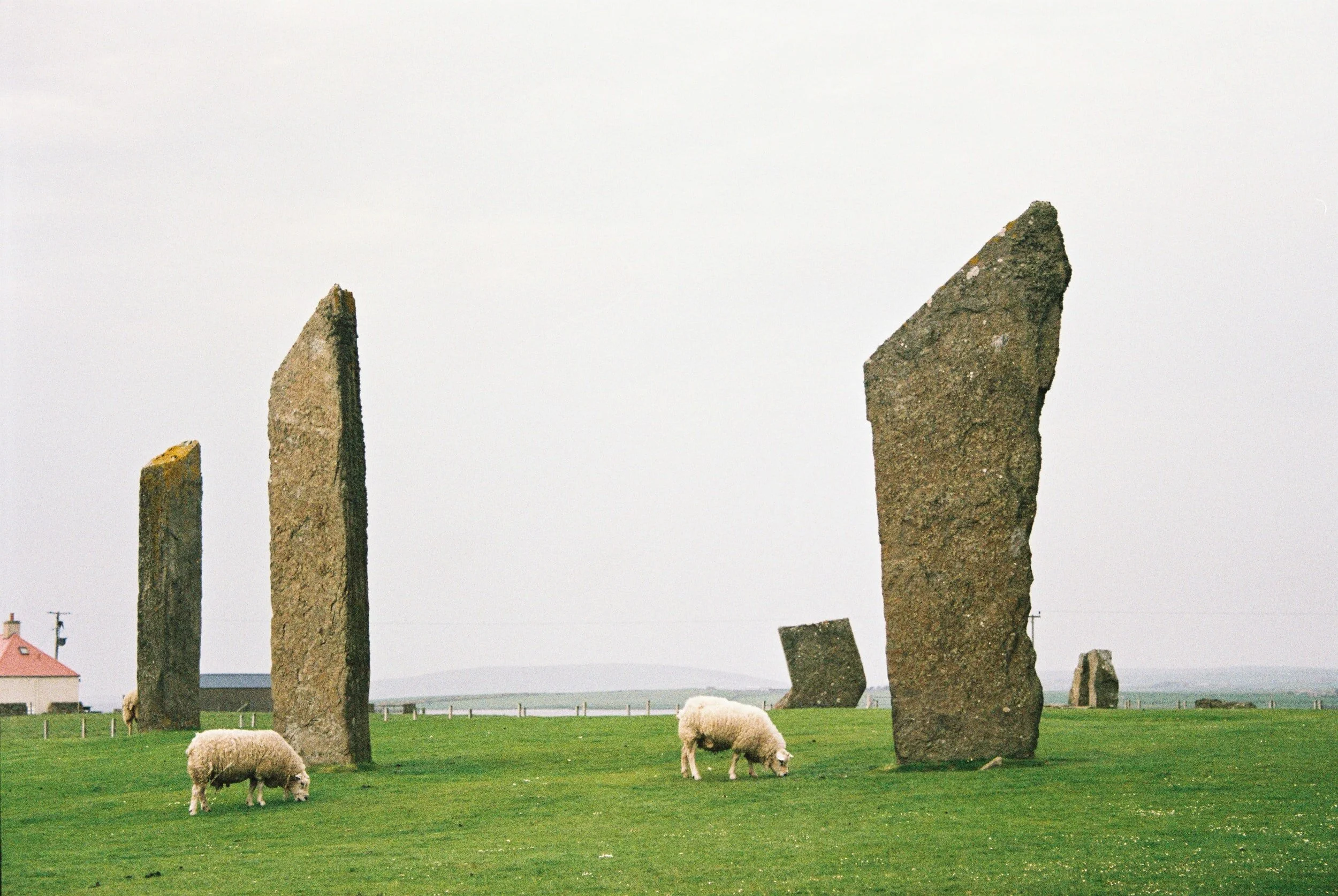 Mistaking our Identity for Sheep