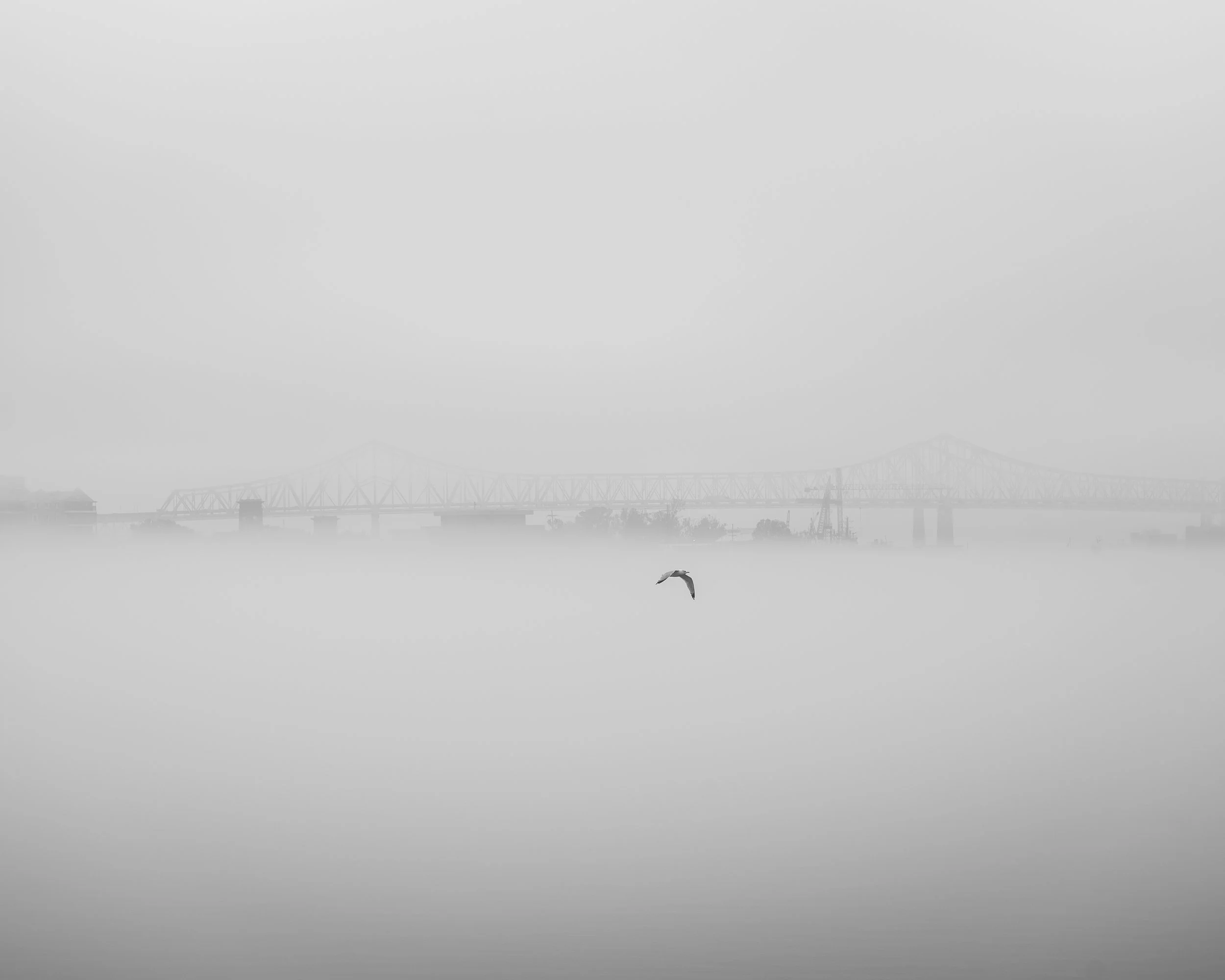 DSC_8813.jpg