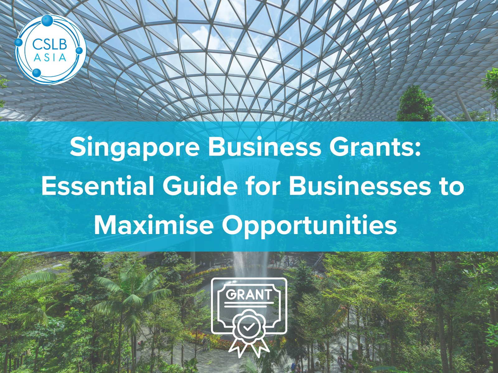 Singapore Business Grants: The Essential Guide for Businesses to Maximise Opportunities