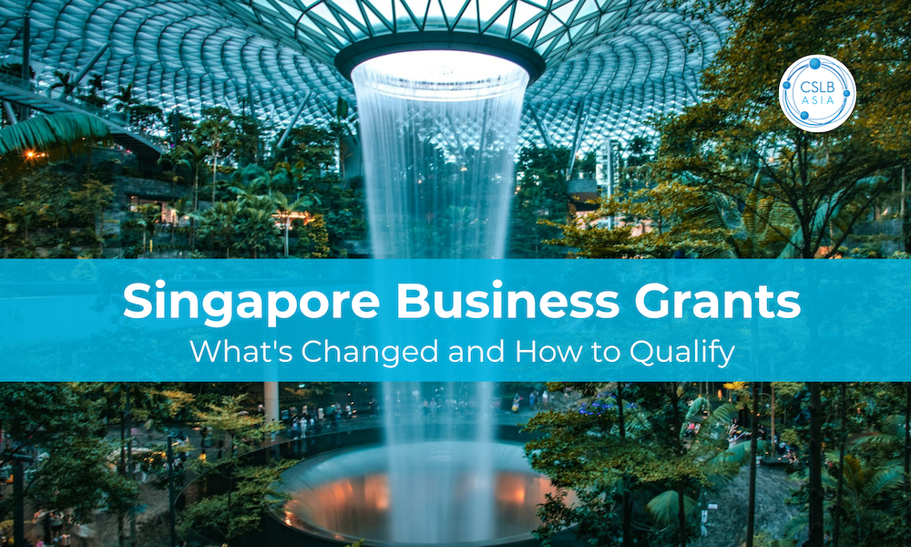 Singapore Business Grants