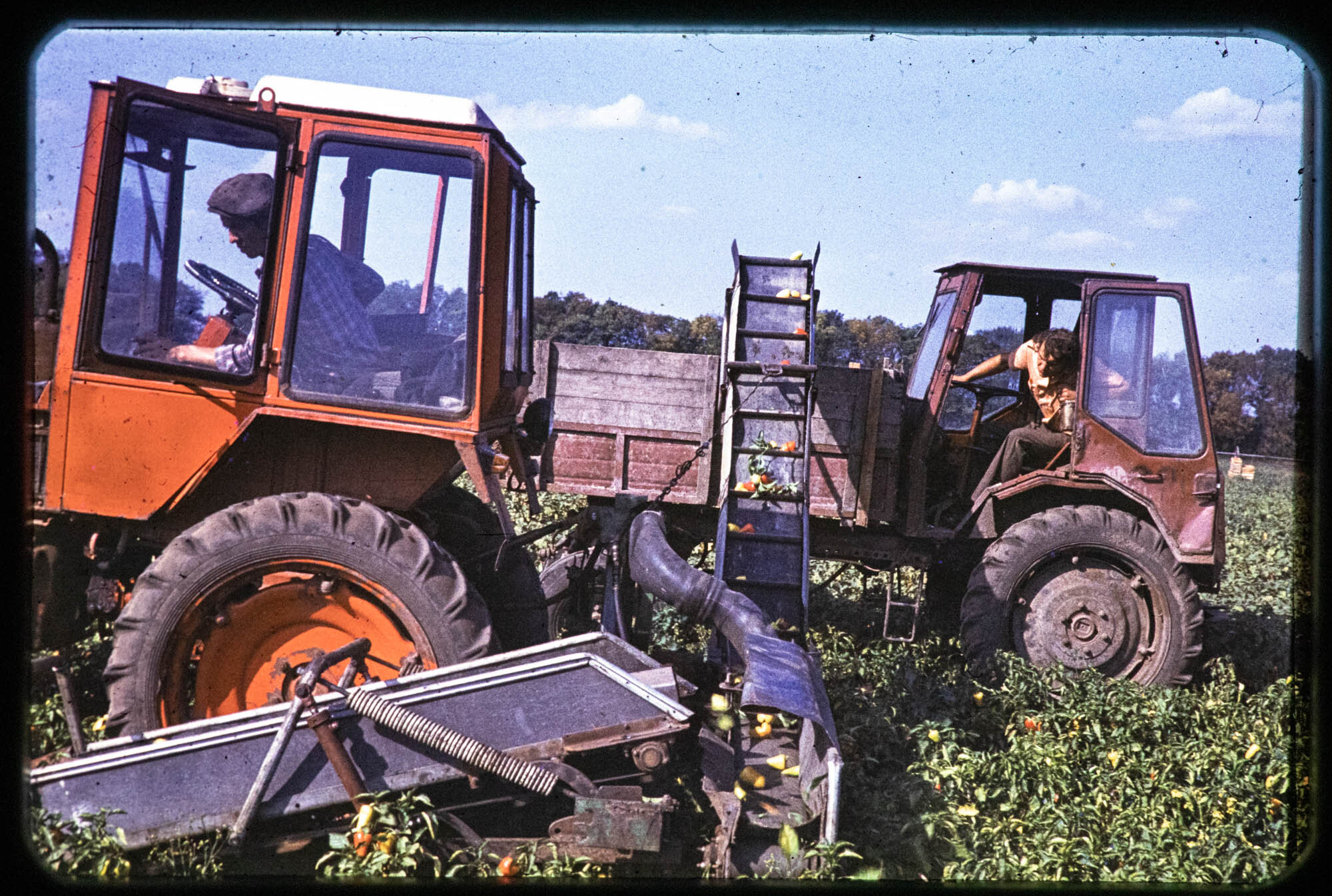 Samuel Eder Found Film Donesk-15.jpg