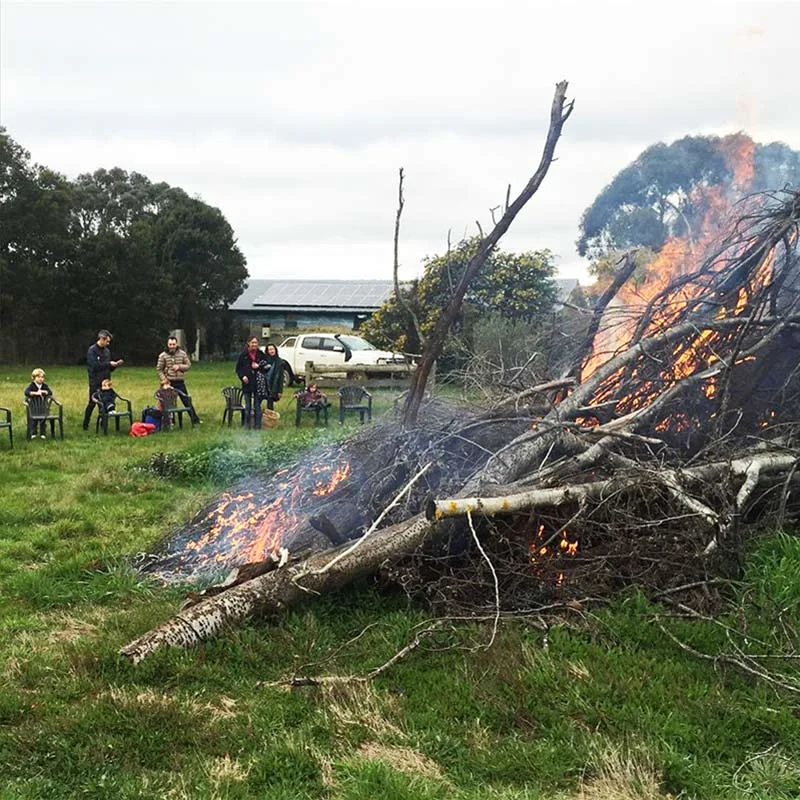 It's a good time of the year to light the bonfire and have a few locals over for a drink. We had some damaging winds in the Autumn and lost a few trees. We also removed a cypress hedge that was shading our veggie garden.
