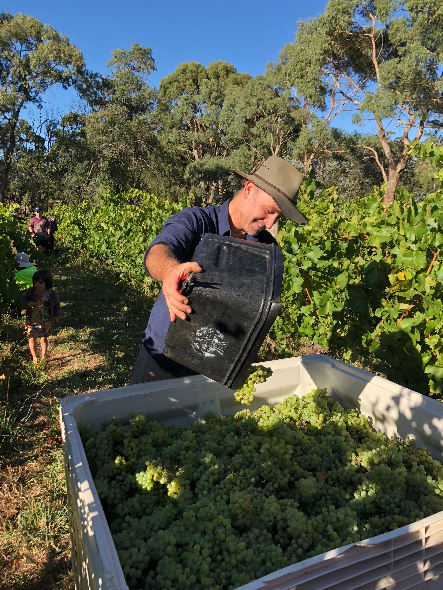 2019 Young Gun of Wine Finalist