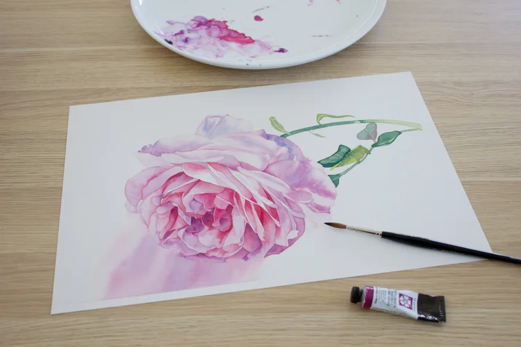 Les roses de Daniel Smith - Peinture aquarelle