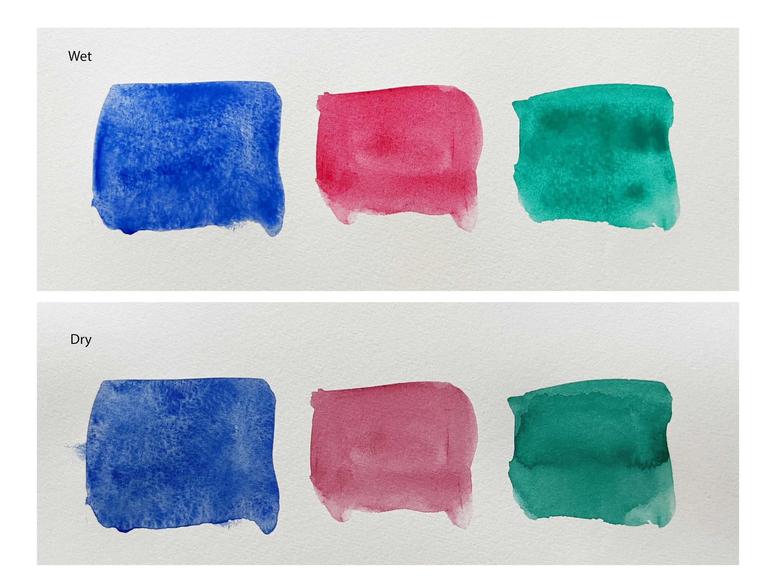 Side-by-side comparison of wet and dry watercolour washes in blue, pink and green, demonstrating how watercolour colours become lighter and less vibrant as they dry.