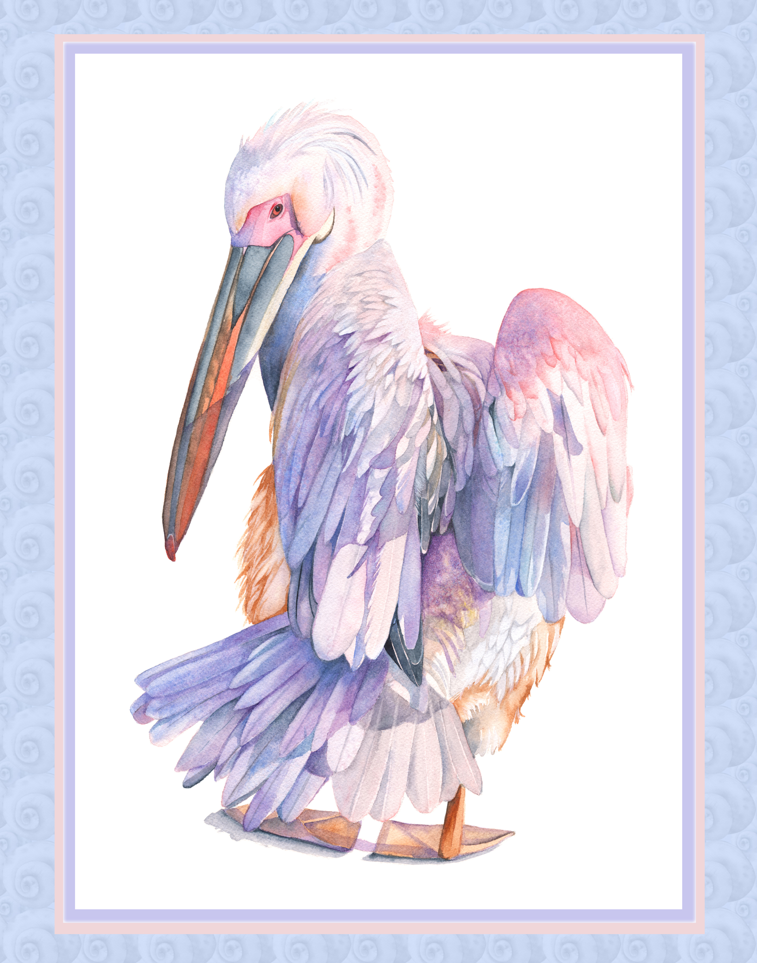 Pelican on fsnail shell pattern.jpg