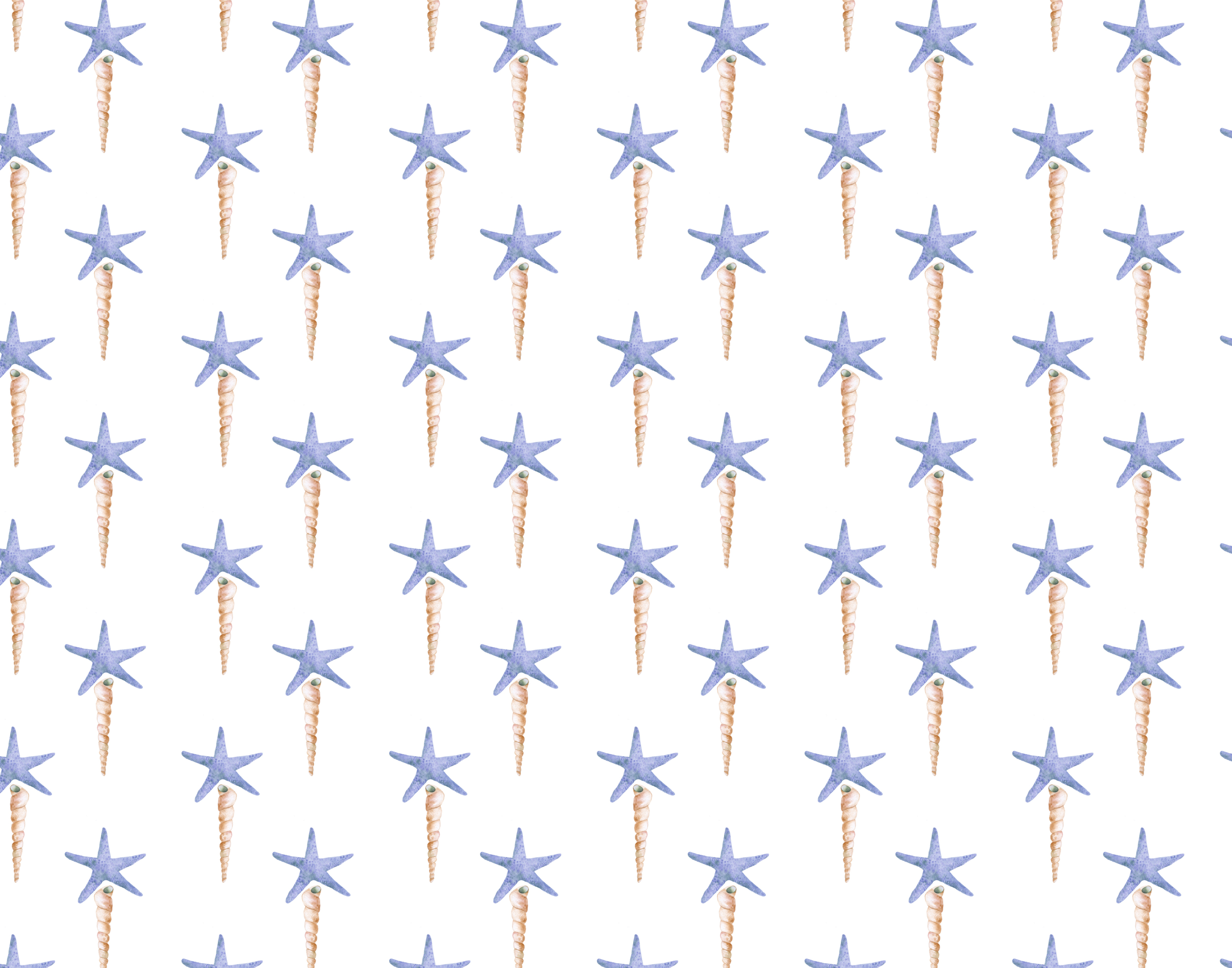 Starfish and thin shell pattern.jpg