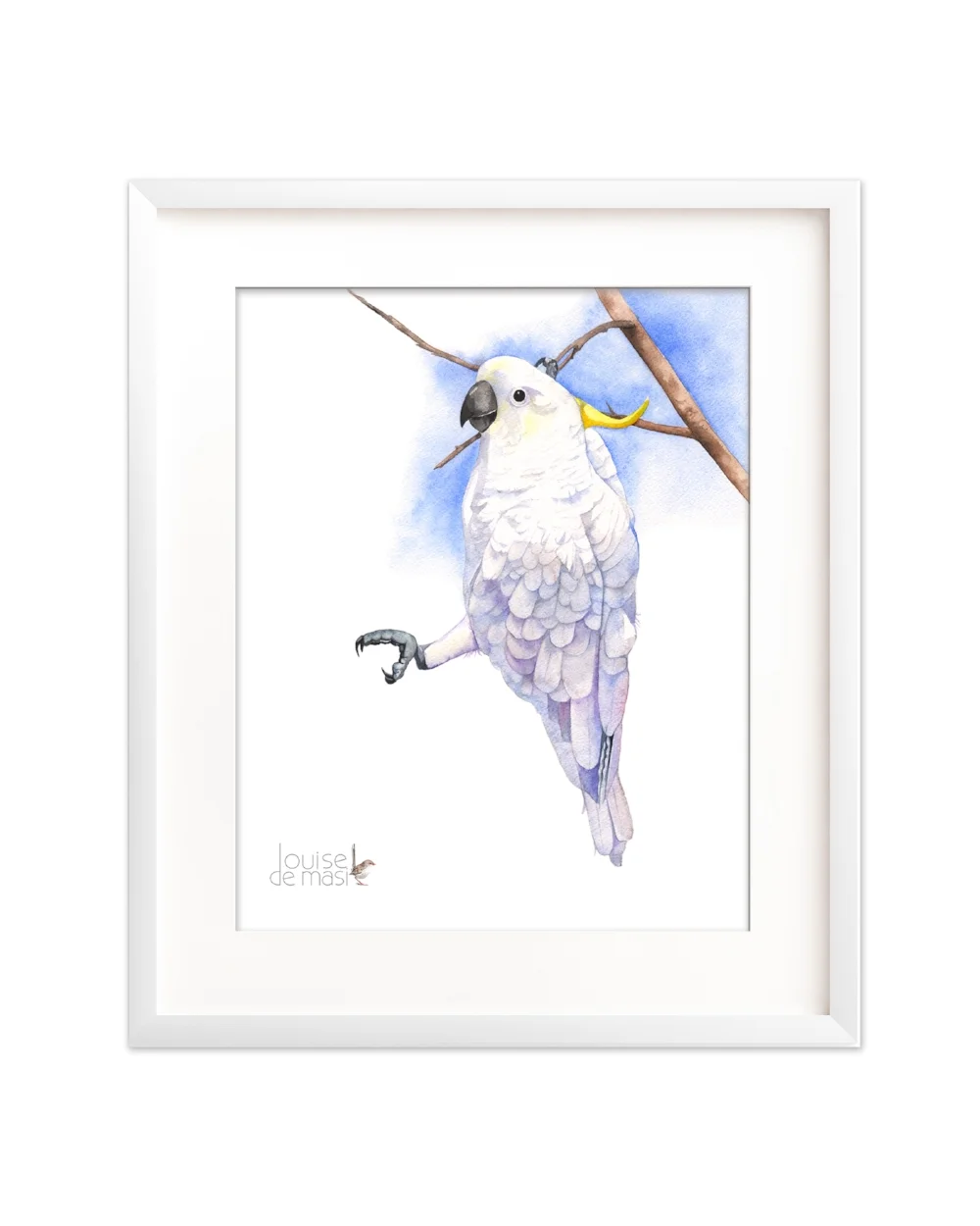 Cockatoo hanging C11116 Pixel reduced scanned size.jpg