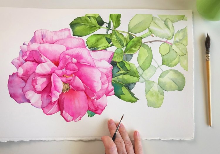 Painting Large Flowers in Watercolour — Louise De Masi Watercolour Artist