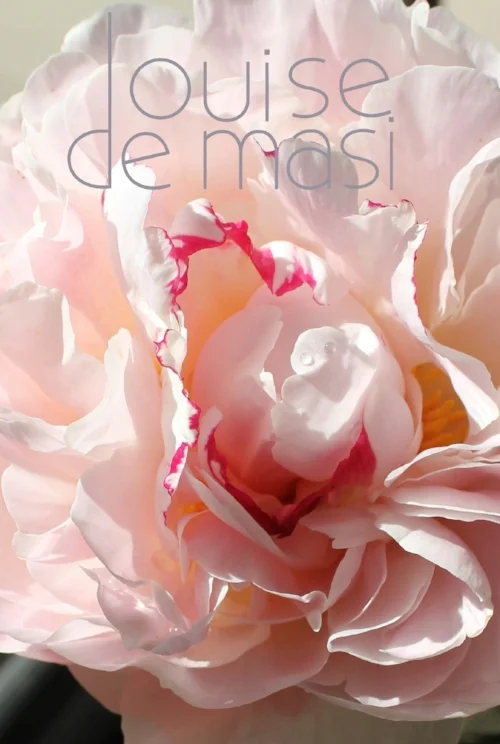 cropped-louise-demasi.jpg