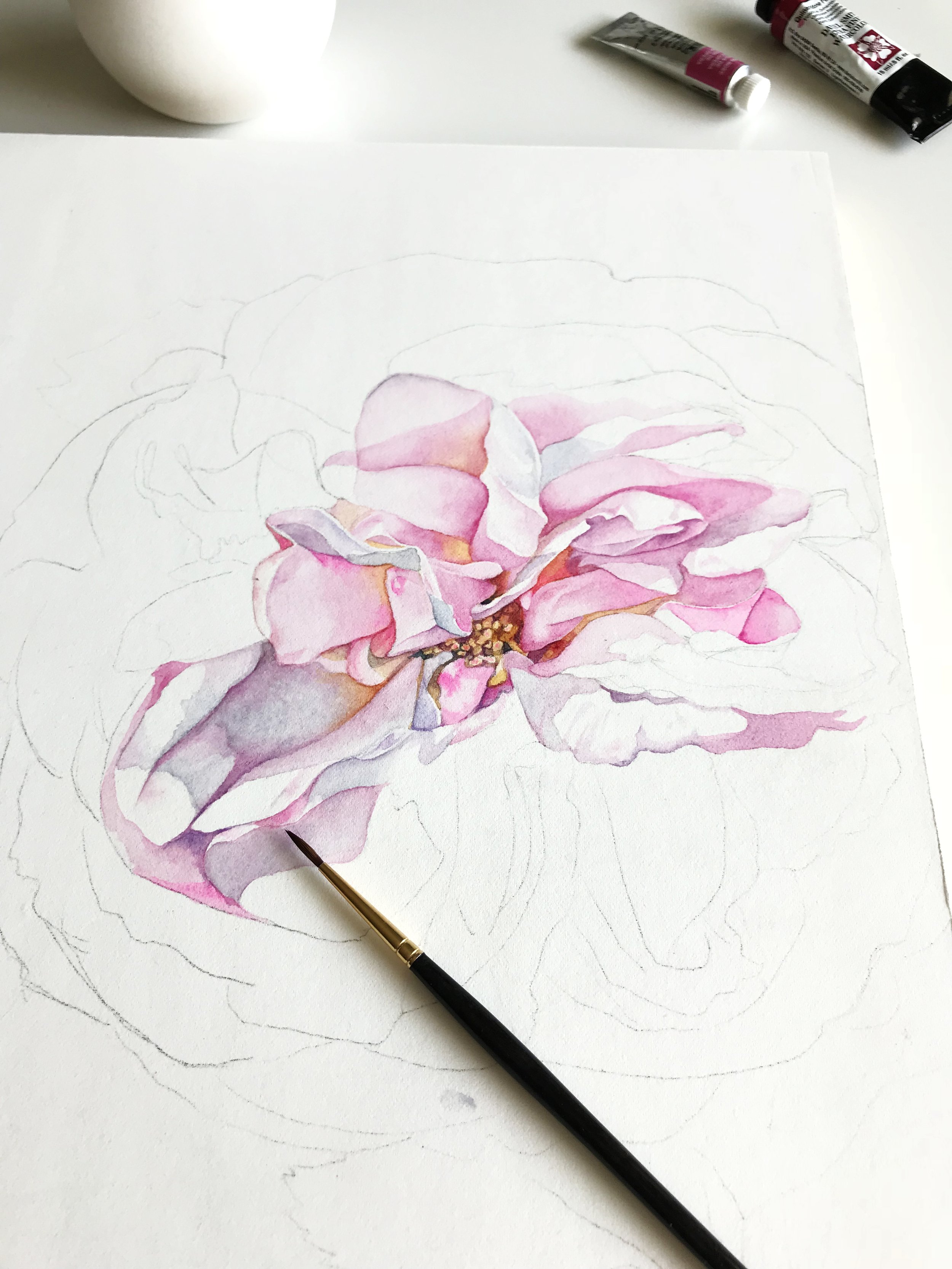 Partially completed pink rose watercolour painting showing pale initial washes, stronger pink and violet shadows, and unpainted petals outlined in pencil.