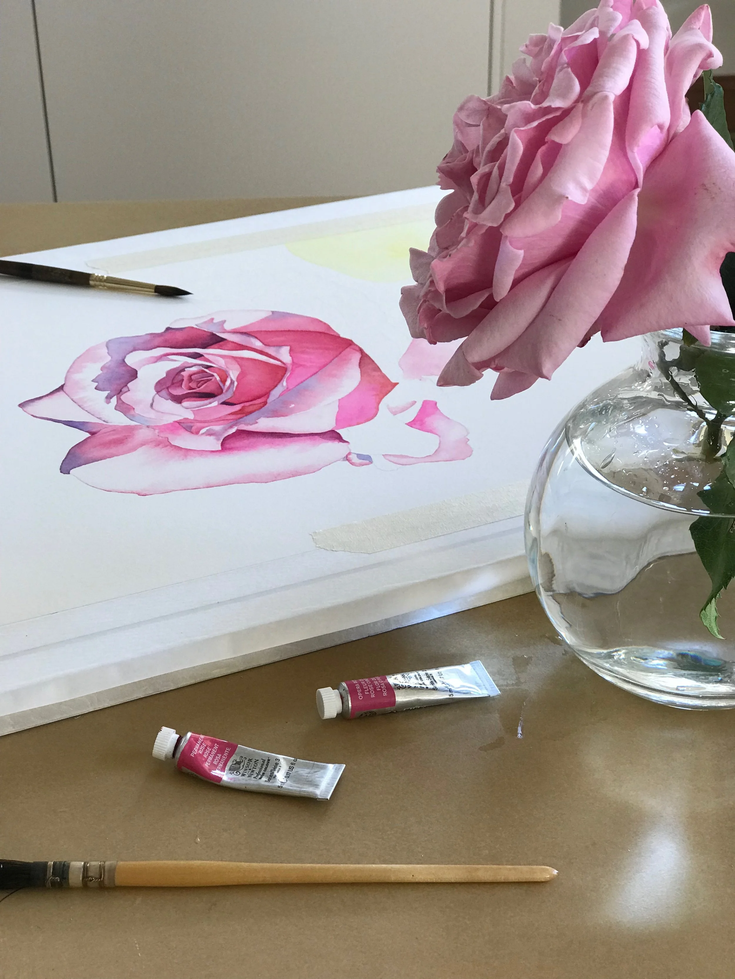 A rose called ‘Heaven Scent’ from my garden. This rose is one of my favourites. It has a beautiful scent and it grows larger than the size of a tea cup saucer. It’s a beauty!