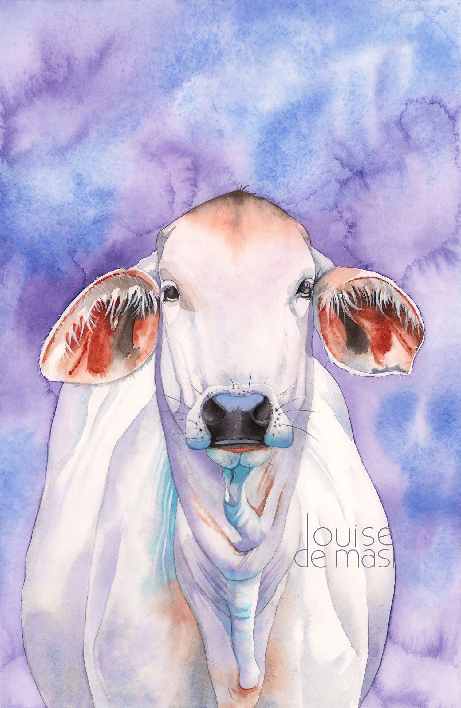 Brahman Cow - Intermediate