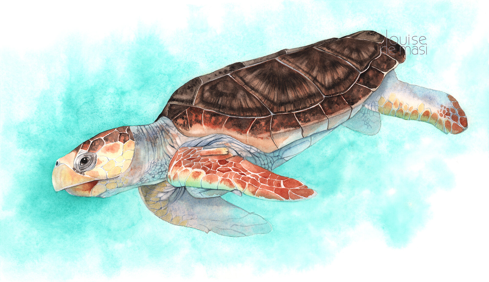 Sea Turtle - Intermediate to Advanced