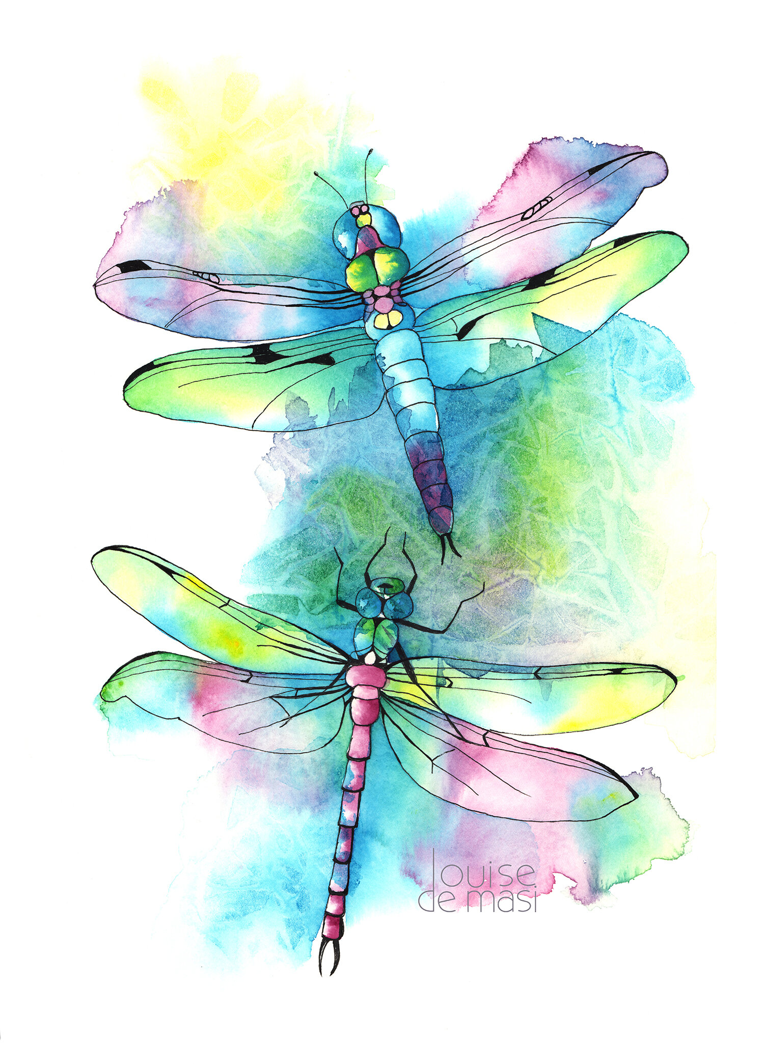 dragonflies - Pen &amp; Wash - Beginners