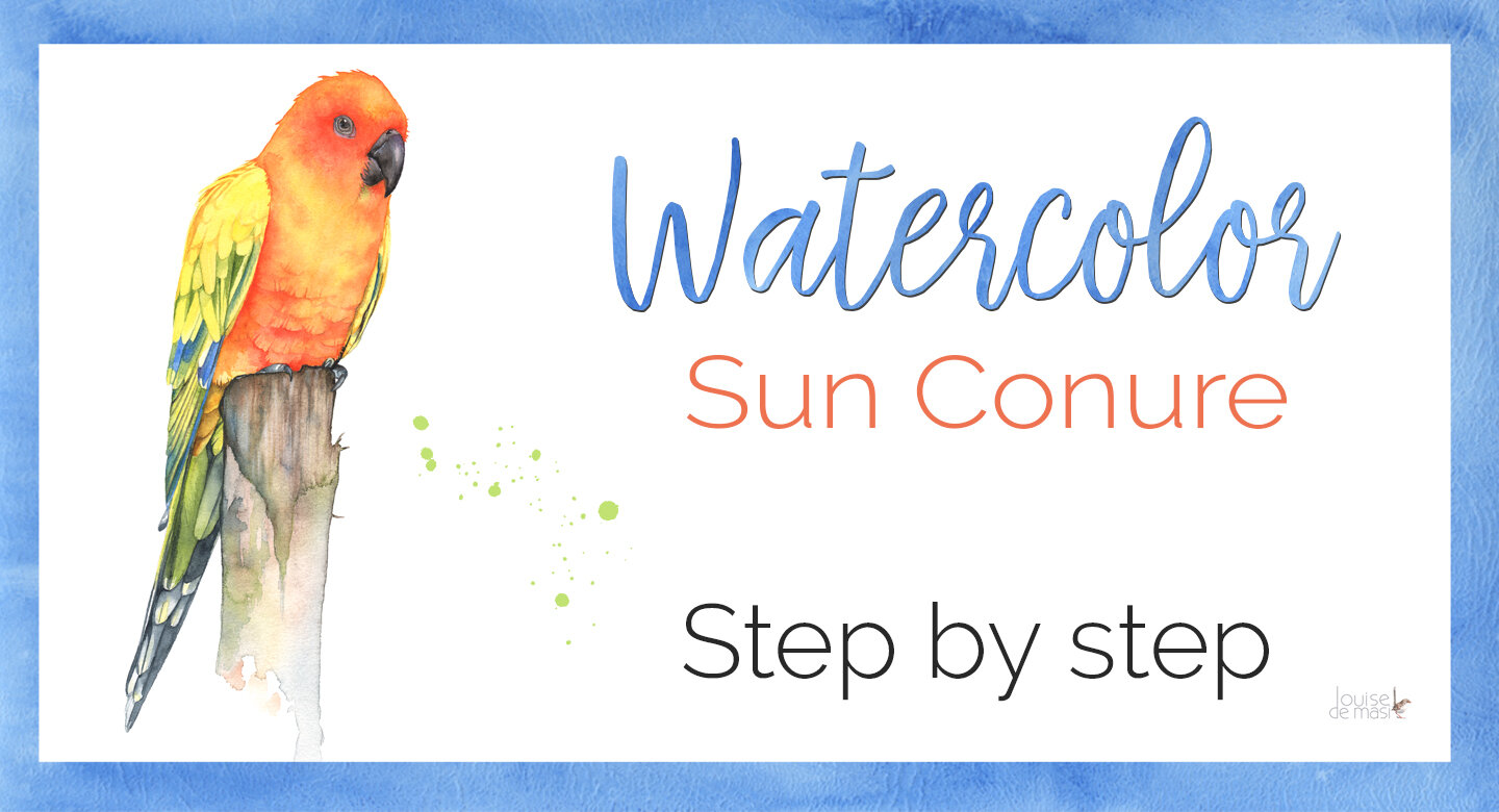 Watercolour Sun Conure on Skillshare