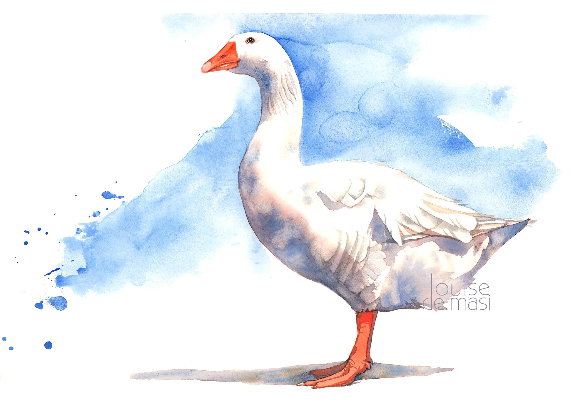 Goose 3 colours - beginner to intermediate