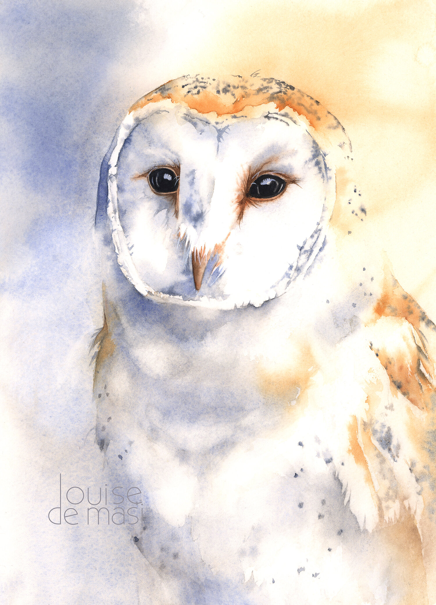Barn Owl - Intermediate