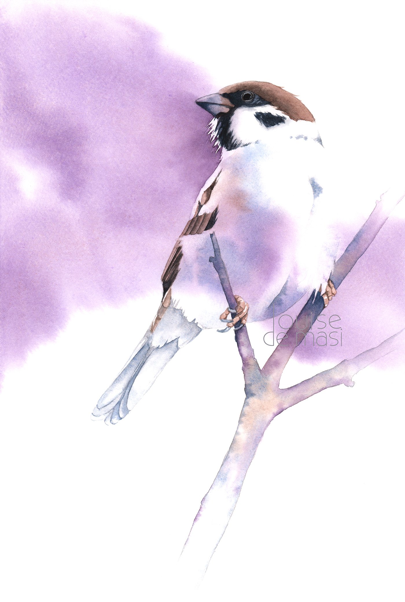 Sparrow - intermediate