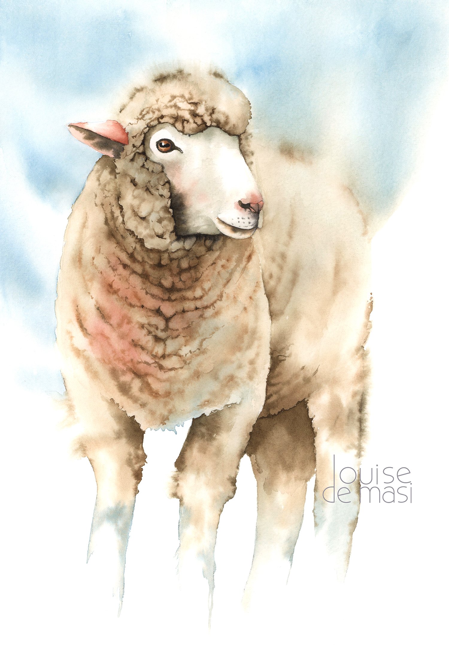 Sheep - intermediate