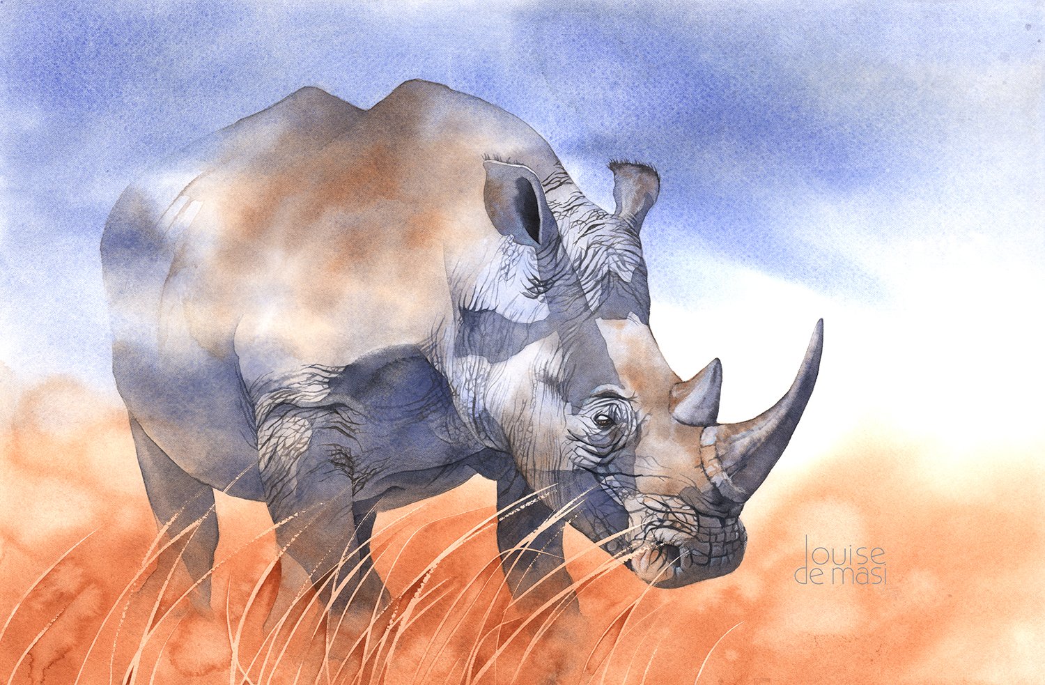 Rhinoceros - Advanced